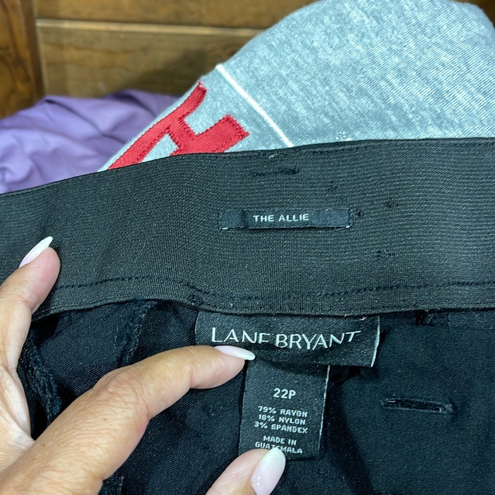 Lane Bryant work pants